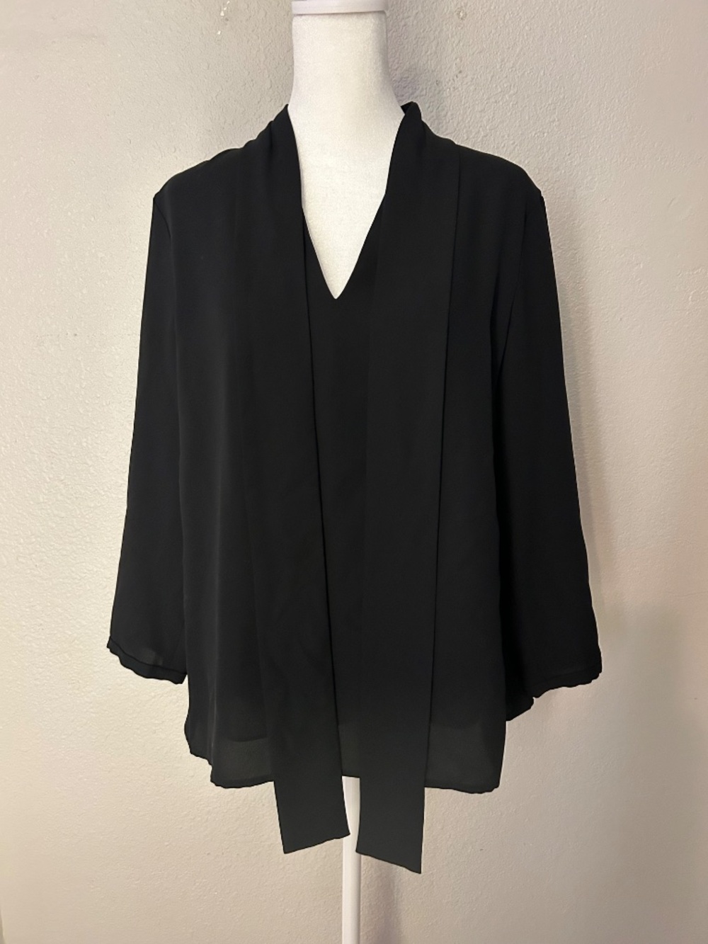 Anne Klein Long Sleeve  Semi-Sheer Black Blouse with Tie V-neck